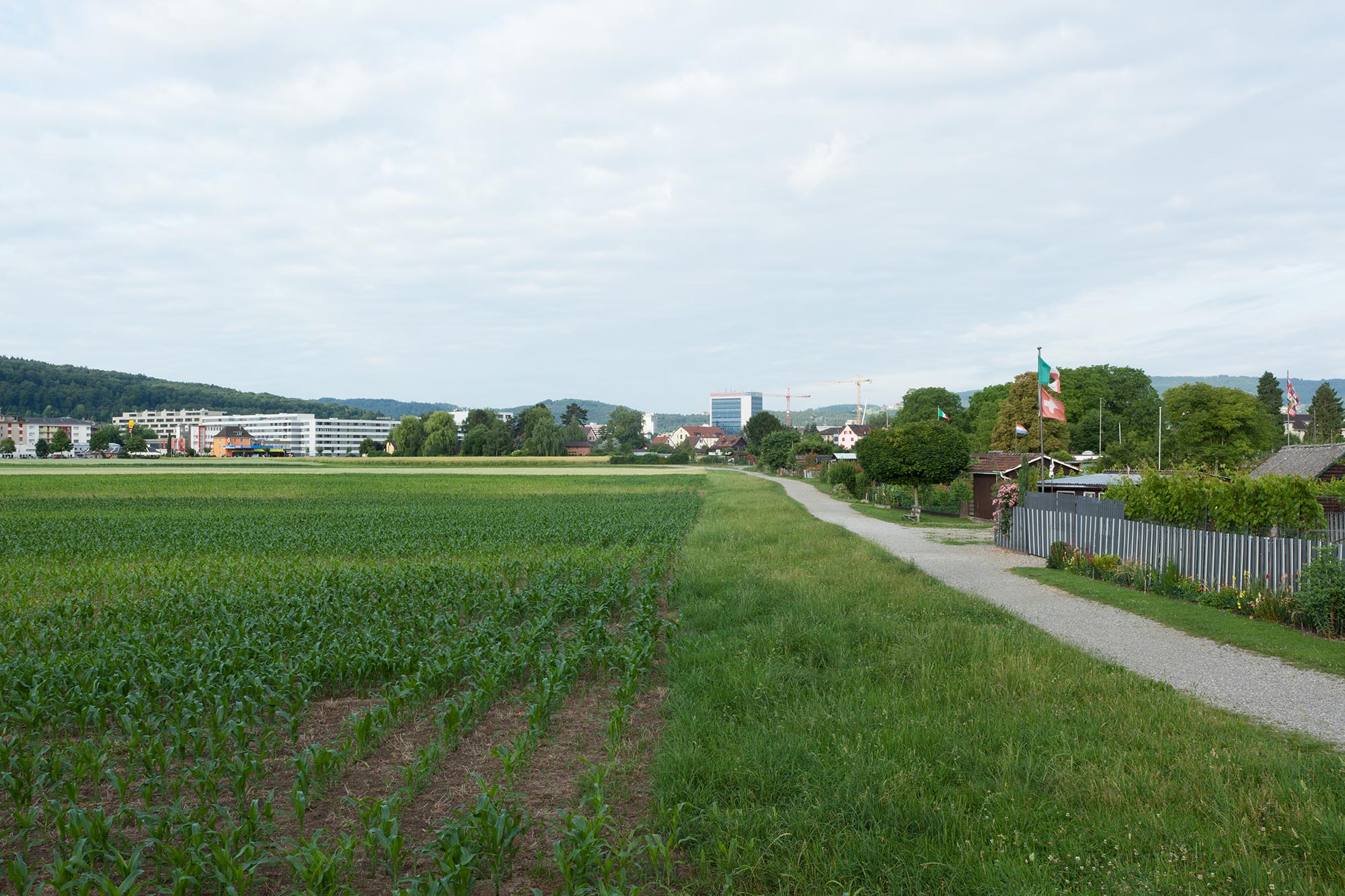 2011_0447